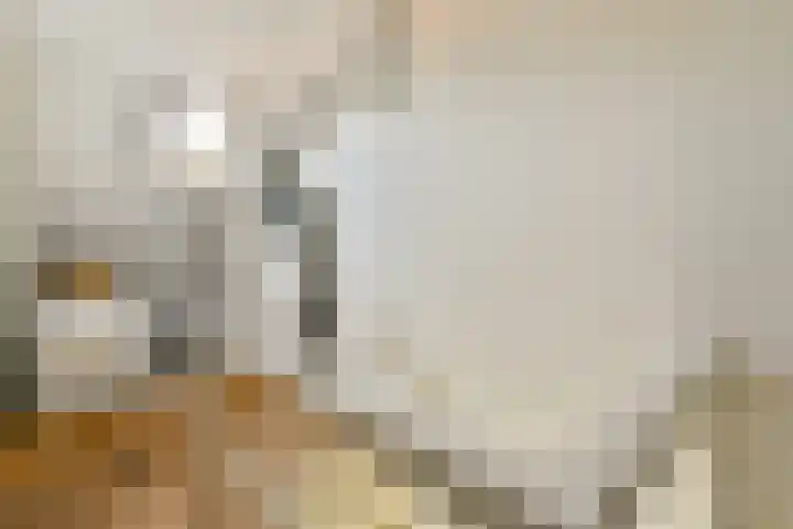 Vogelkade 26 Amsterdam thumbnail 18