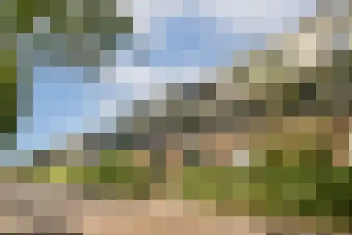 Vogelkade 26 Amsterdam thumbnail 21