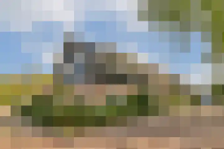 Vogelkade 26 Amsterdam thumbnail 22