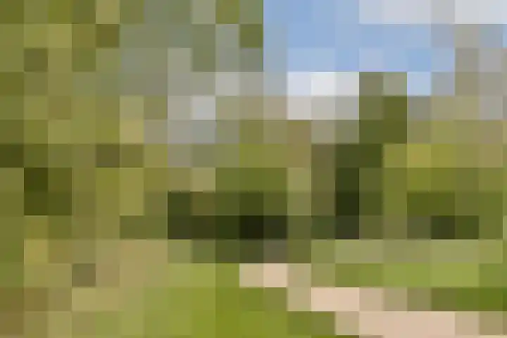 Vogelkade 26 Amsterdam thumbnail 23