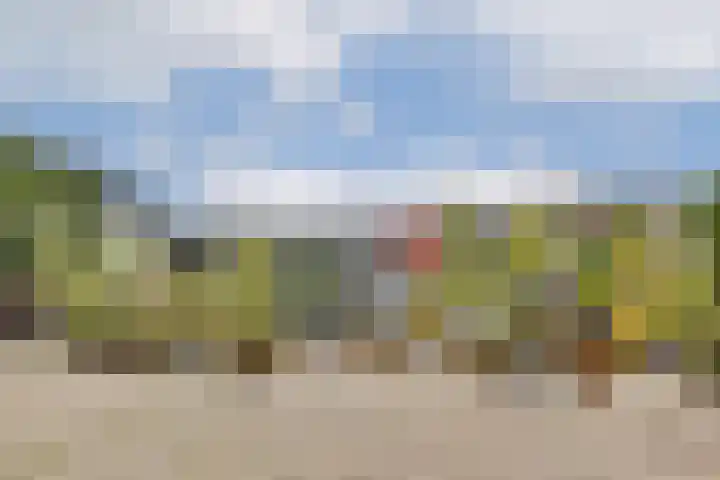 Vogelkade 26 Amsterdam thumbnail 26