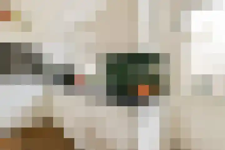 Vogelkade 26 Amsterdam thumbnail 5