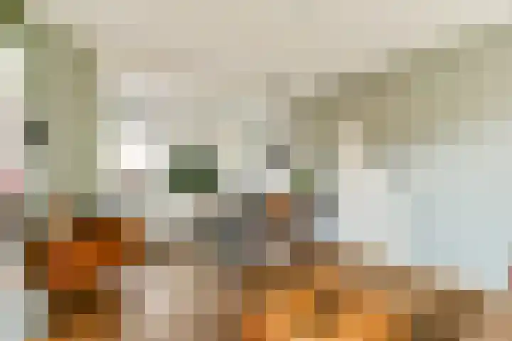 Vogelkade 26 Amsterdam thumbnail 6
