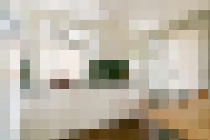 Vogelkade 26 Amsterdam thumbnail 7