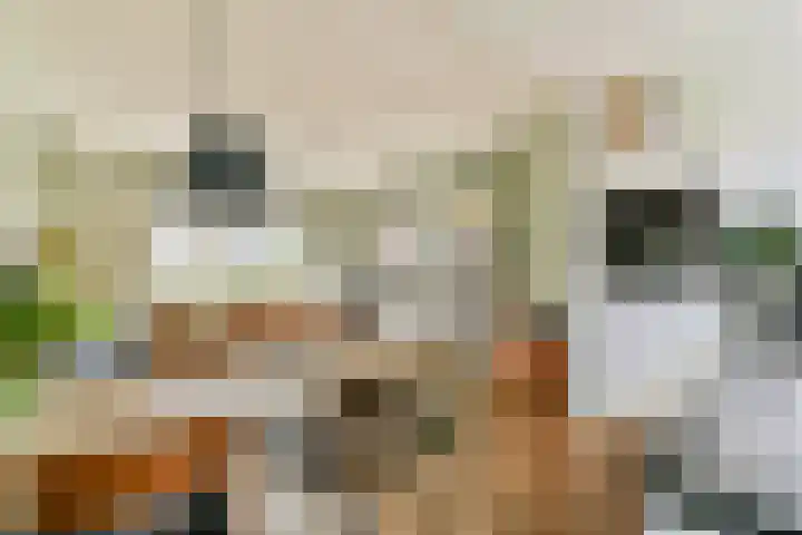 Vogelkade 26 Amsterdam thumbnail 8