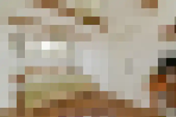Vogelkade 4 Amsterdam thumbnail 15