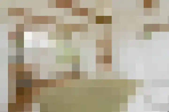 Vogelkade 4 Amsterdam thumbnail 16
