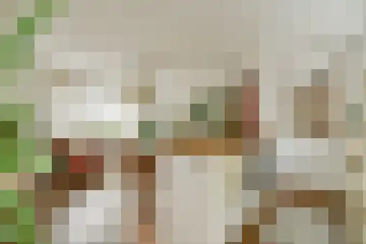 Vogelkade 4 Amsterdam thumbnail 5