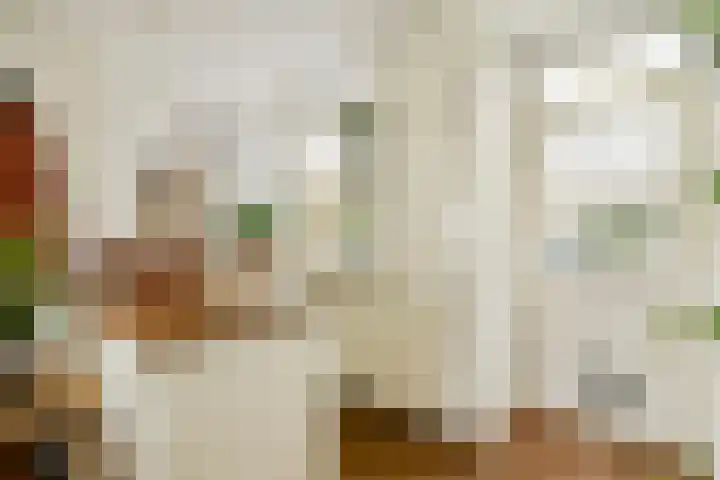 Vogelkade 4 Amsterdam thumbnail 6