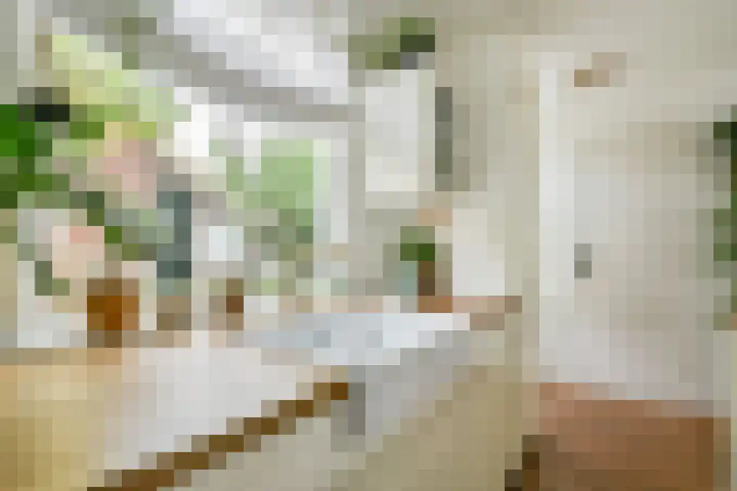 Vogelkade 4 Amsterdam thumbnail 8