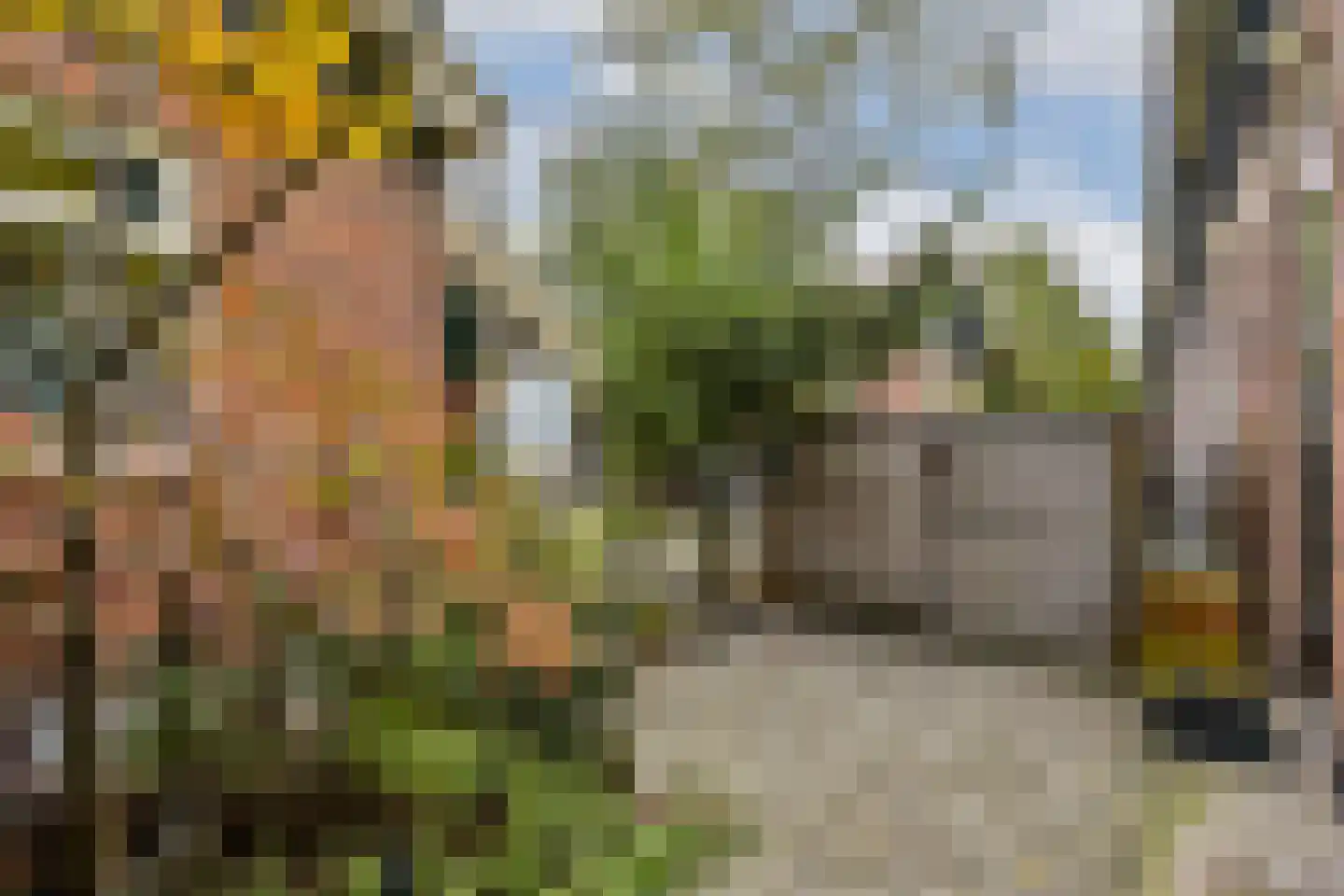 Vogelkade 4 Amsterdam thumbnail 9
