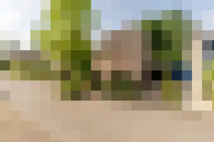 Vogelkers 11 dans Helvoirt