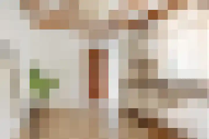 Vogelkers 11 Helvoirt thumbnail 11