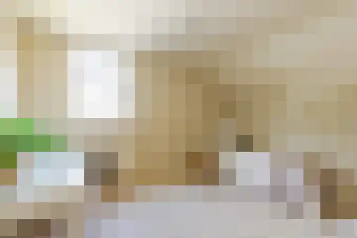 Vogelkers 11 Helvoirt thumbnail 19