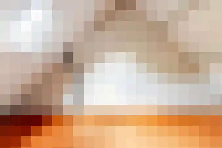 Vogelkers 11 Helvoirt thumbnail 25
