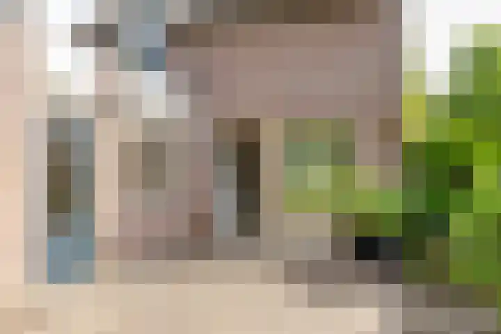 Vogelkers 11 Helvoirt thumbnail 33