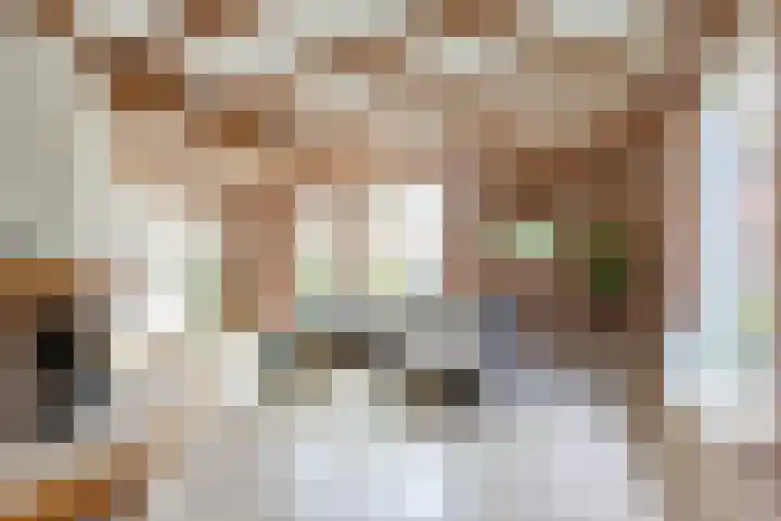 Vogelkers 11 Helvoirt thumbnail 6