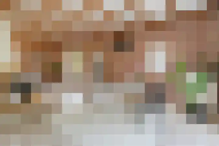 Vogelkers 11 Helvoirt thumbnail 8