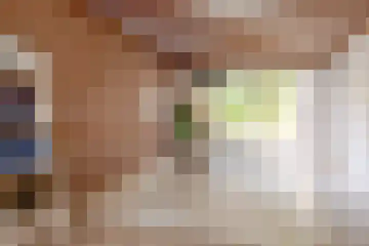 Vogelkers 11 Helvoirt thumbnail 9