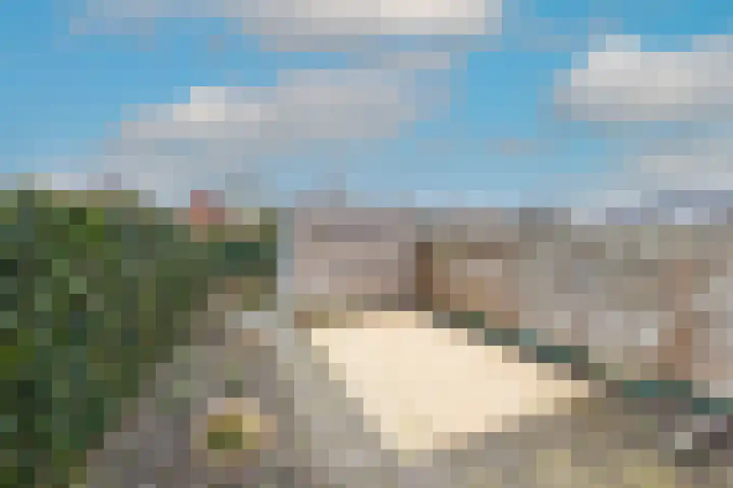 Vogelkers 14 Heiloo thumbnail 37