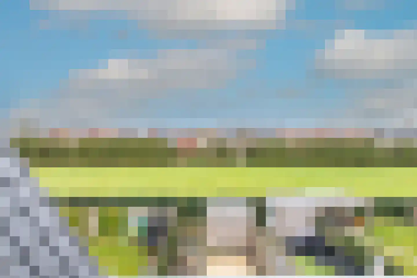 Vogelkers 14 Heiloo thumbnail 38