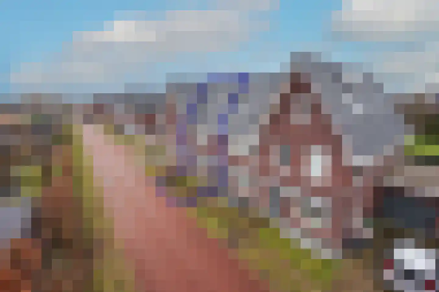 Vogelkers 14 Heiloo thumbnail 39