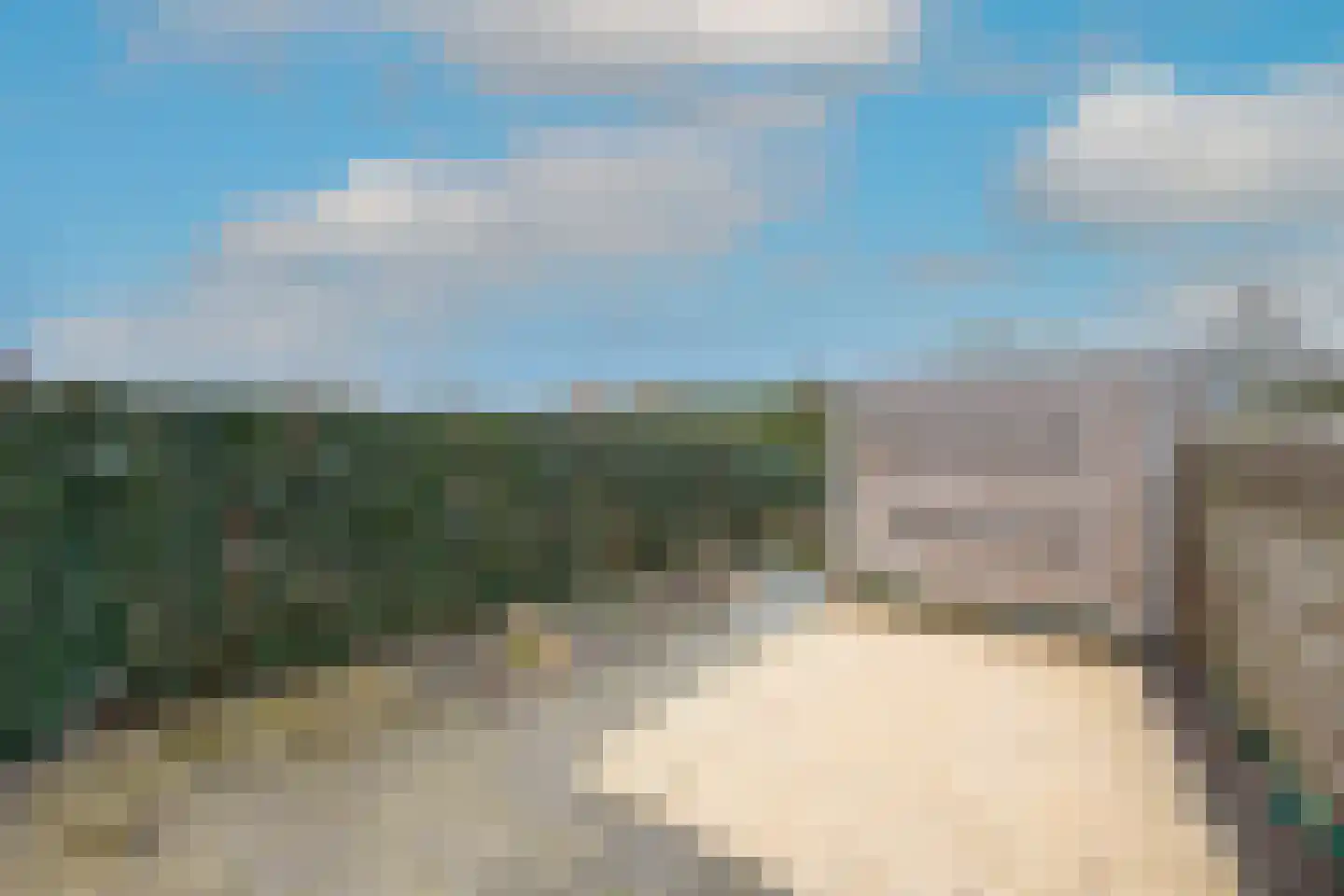 Vogelkers 14 Heiloo thumbnail 4