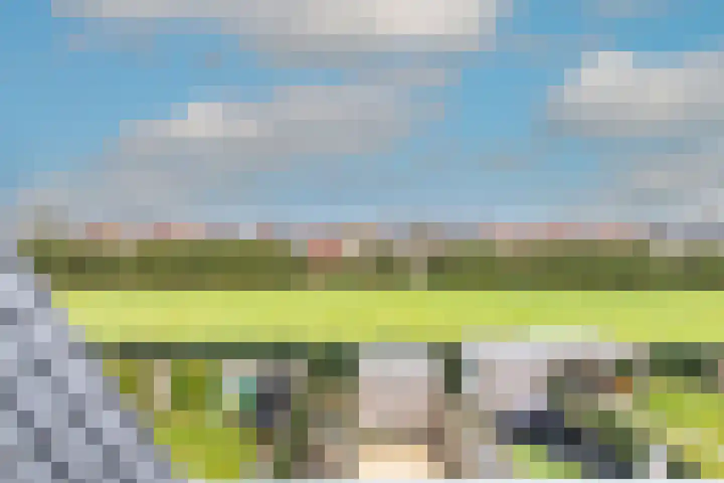 Vogelkers 14 Heiloo thumbnail 6