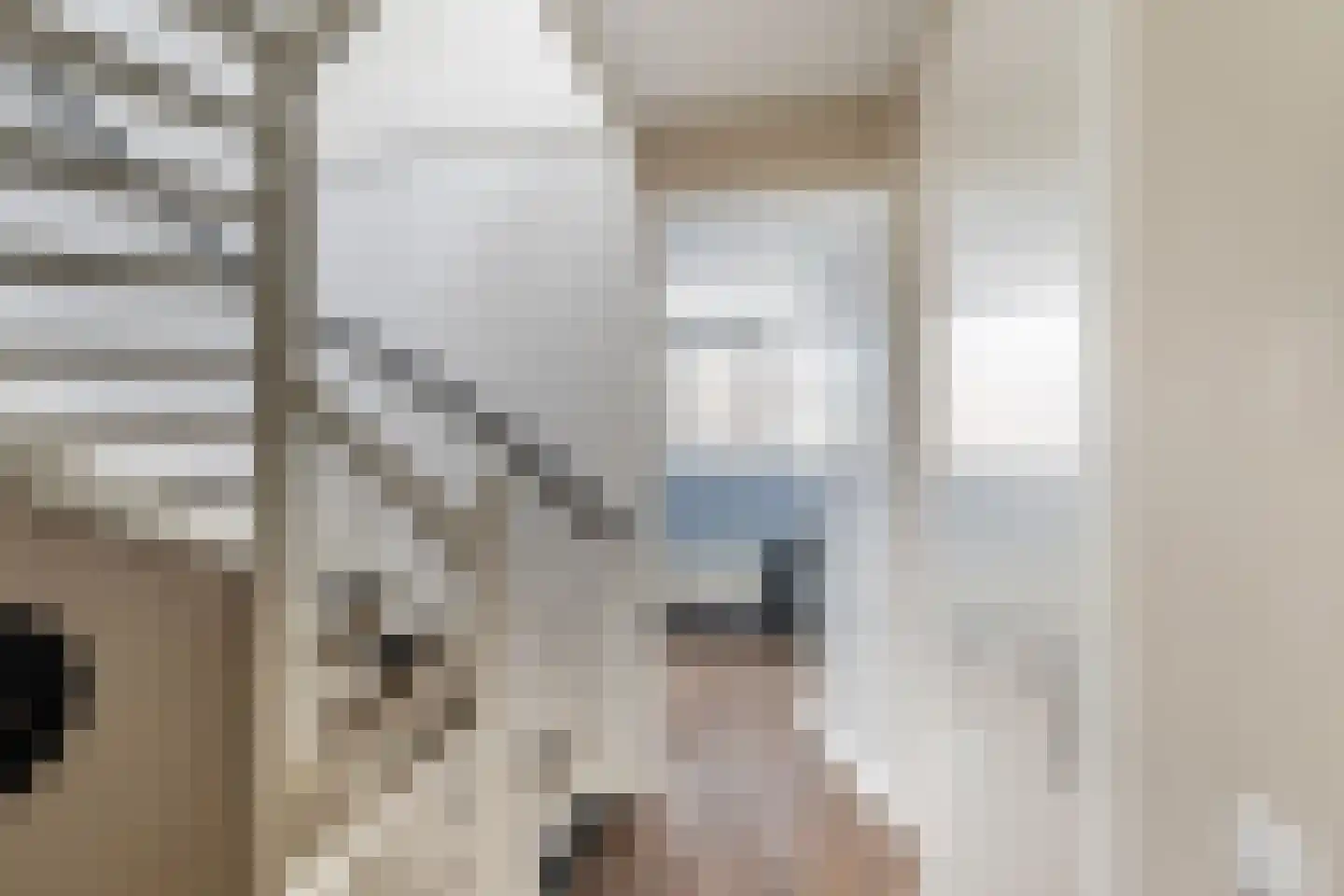 Vogelkers 2 e Poortugaal thumbnail 10