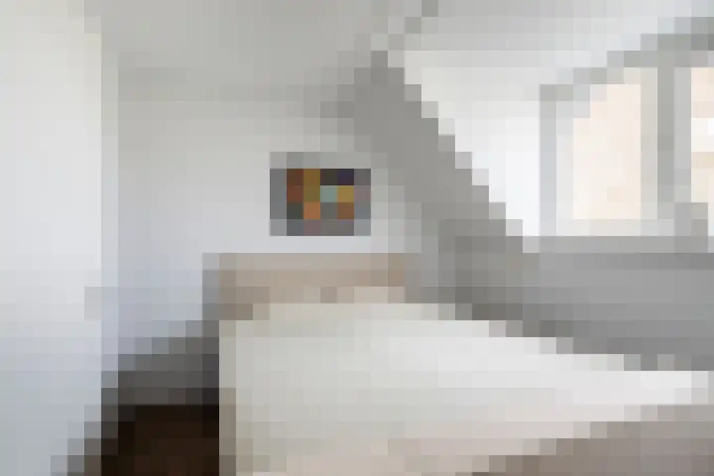 Vogelkers 2 e Poortugaal thumbnail 15