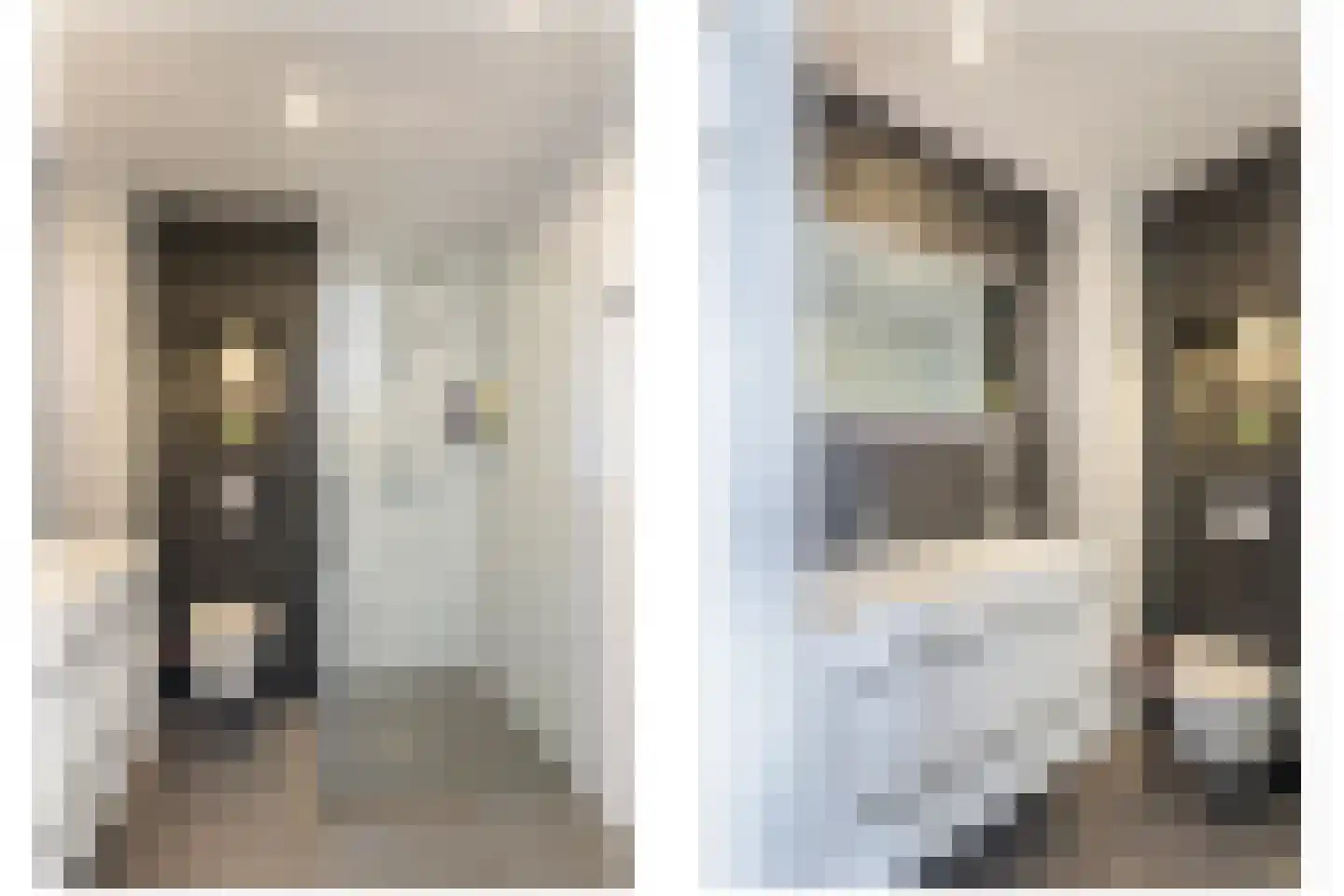 Vogelkers 2 e Poortugaal thumbnail 18