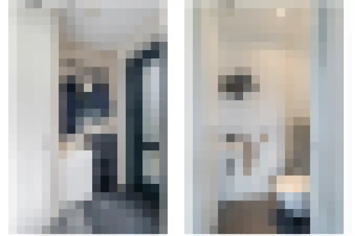 Vogelkers 2 e Poortugaal thumbnail 22