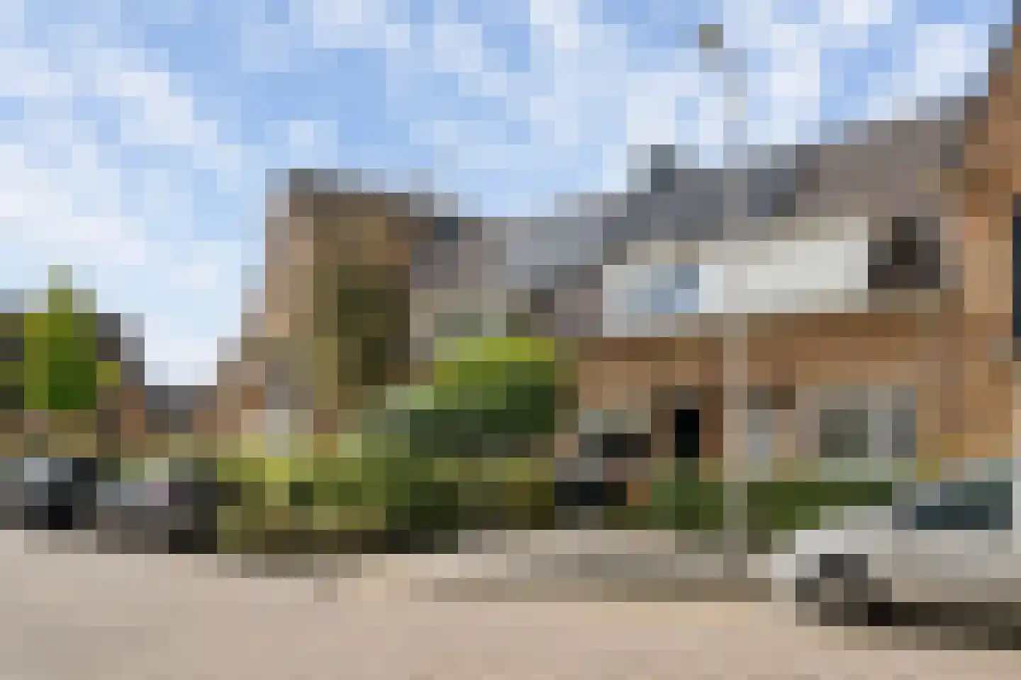 Vogelkers 2 e Poortugaal thumbnail 24