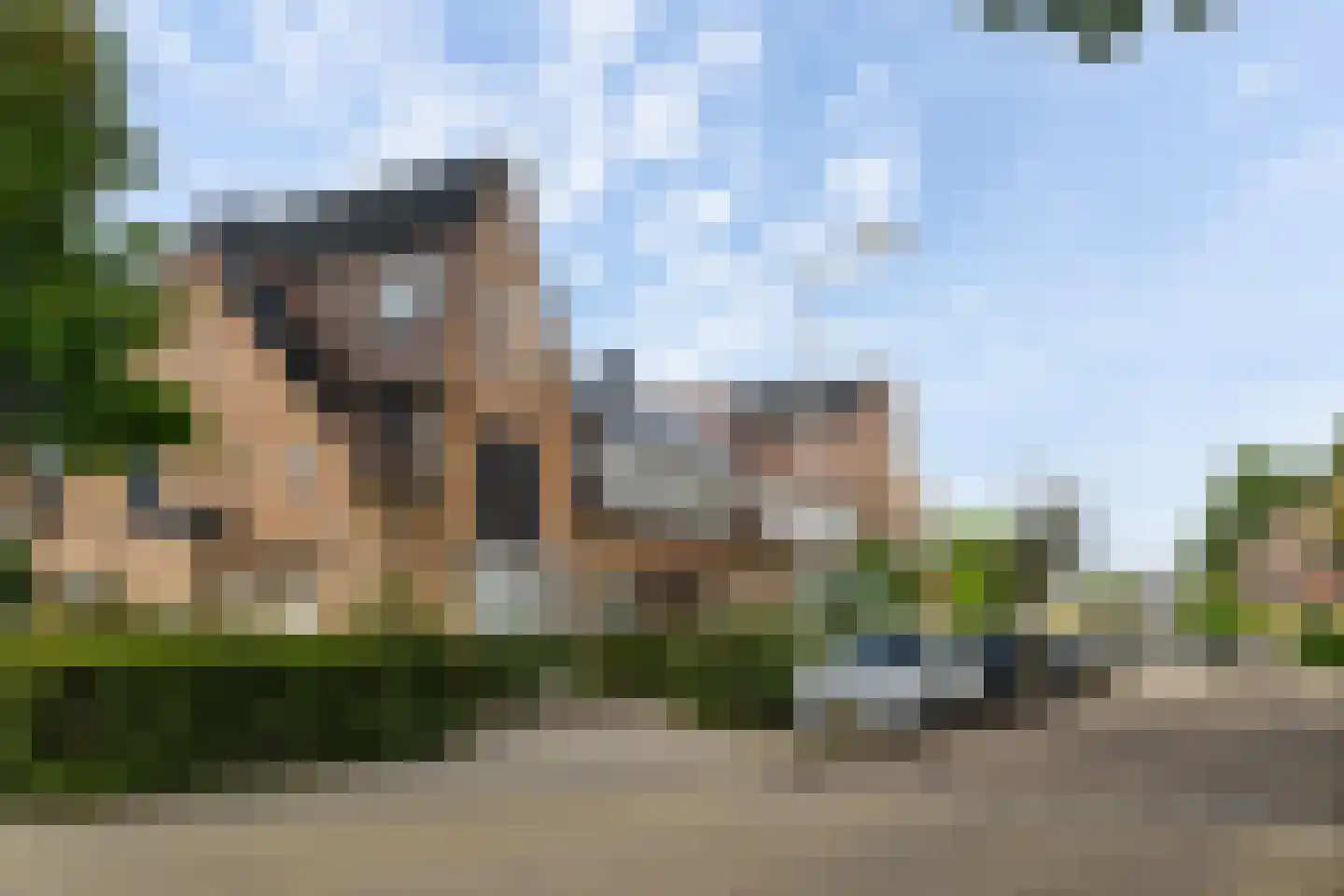 Vogelkers 2 e Poortugaal thumbnail 25