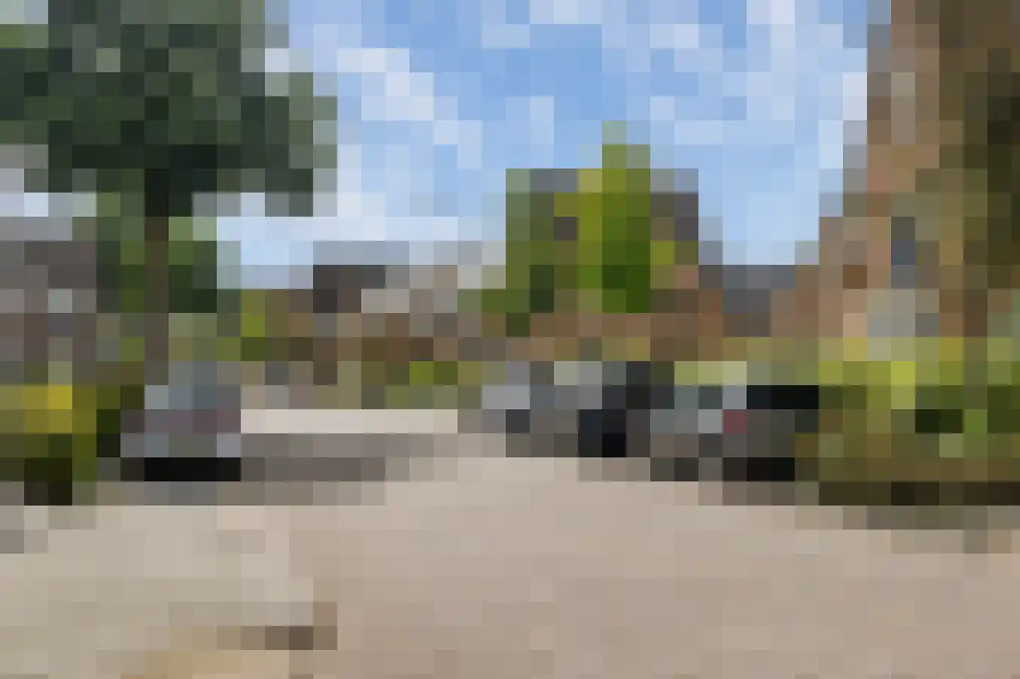 Vogelkers 2 e Poortugaal thumbnail 26
