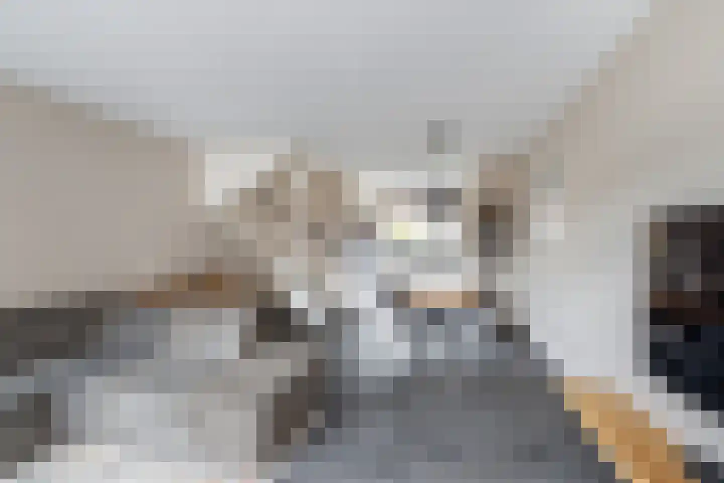 Vogelkers 2 e Poortugaal thumbnail 4