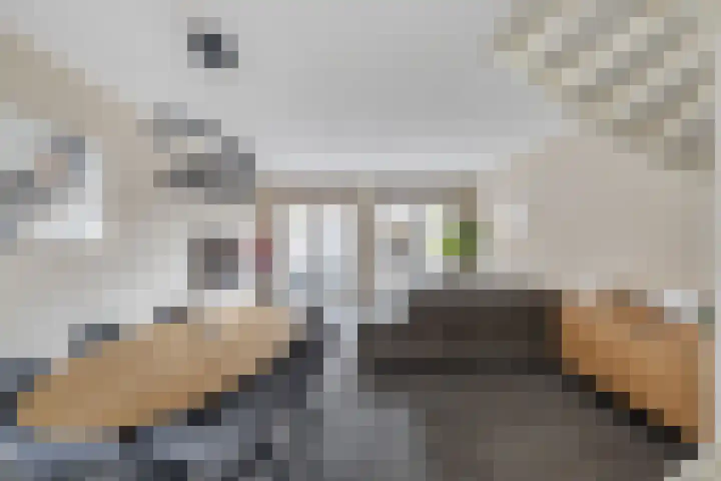 Vogelkers 2 e Poortugaal thumbnail 5
