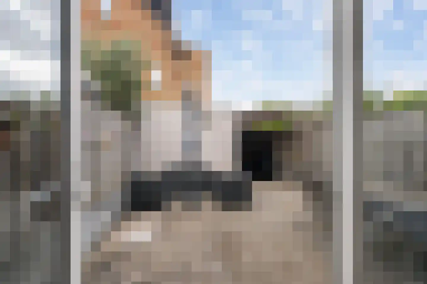 Vogelkers 2 e Poortugaal thumbnail 8