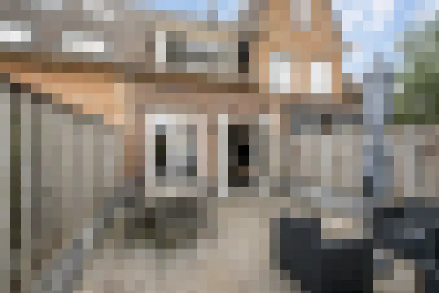 Vogelkers 2 e Poortugaal thumbnail 9