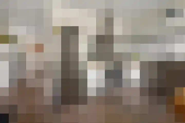 Vogelkers 32 Heemskerk thumbnail 11