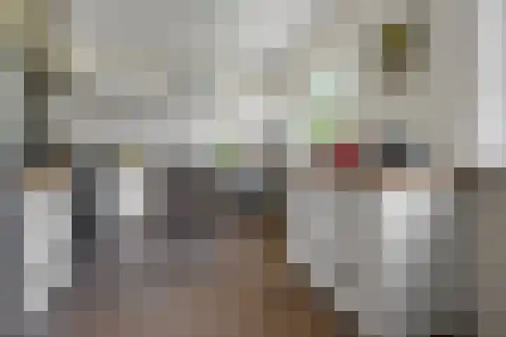 Vogelkers 32 Heemskerk thumbnail 12