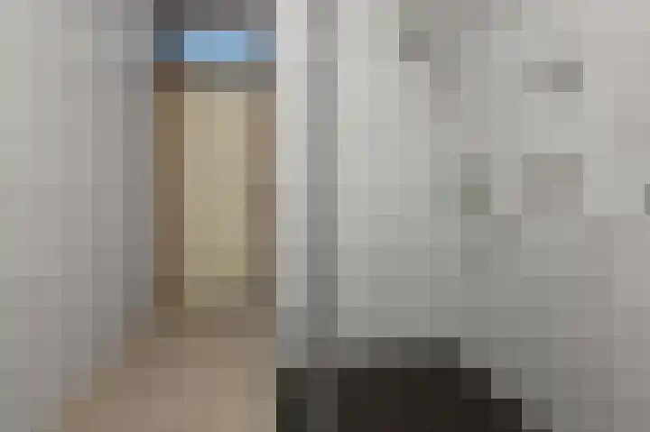 Vogelkers 32 Heemskerk thumbnail 16