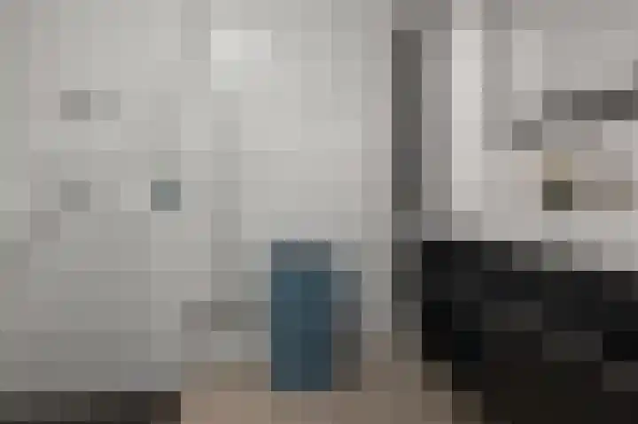 Vogelkers 32 Heemskerk thumbnail 17
