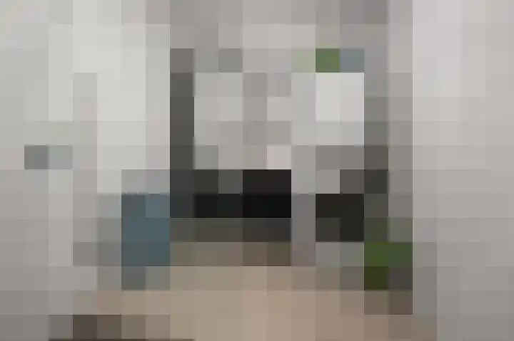 Vogelkers 32 Heemskerk thumbnail 18