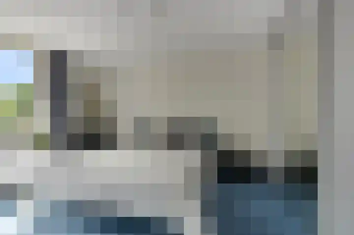 Vogelkers 32 Heemskerk thumbnail 19
