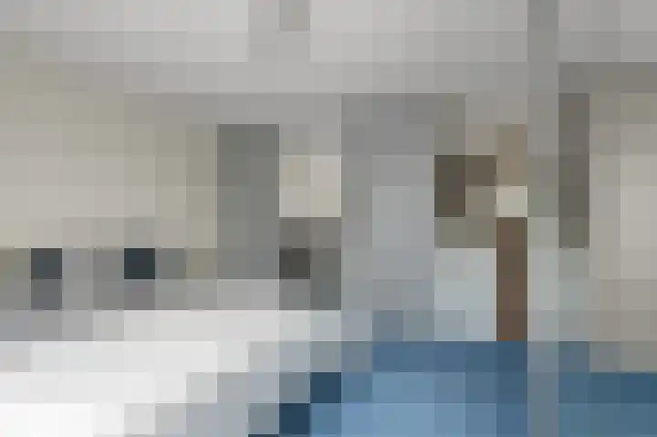 Vogelkers 32 Heemskerk thumbnail 22