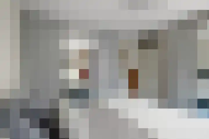 Vogelkers 32 Heemskerk thumbnail 23