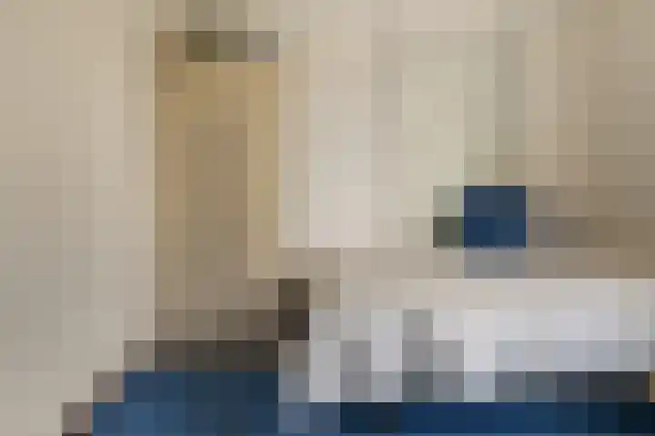 Vogelkers 32 Heemskerk thumbnail 25