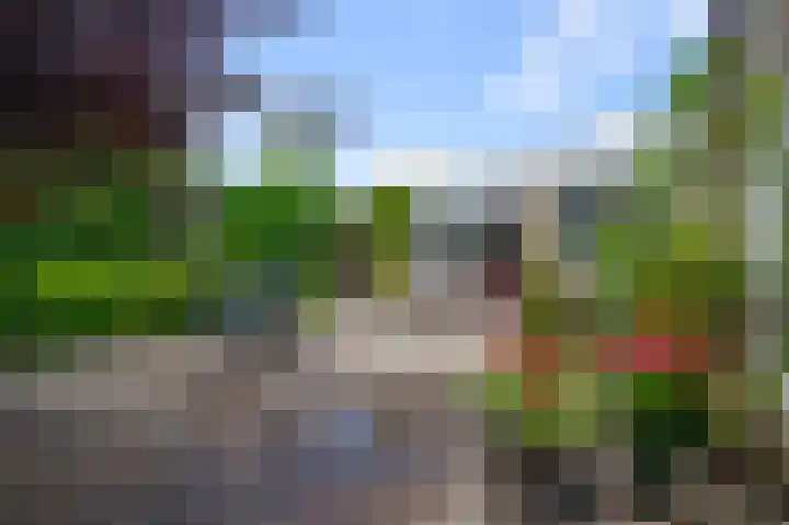 Vogelkers 32 Heemskerk thumbnail 27