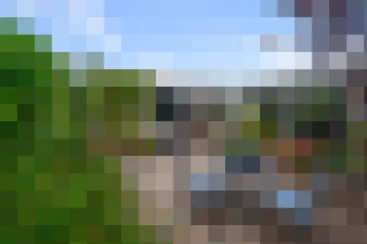 Vogelkers 32 Heemskerk thumbnail 28